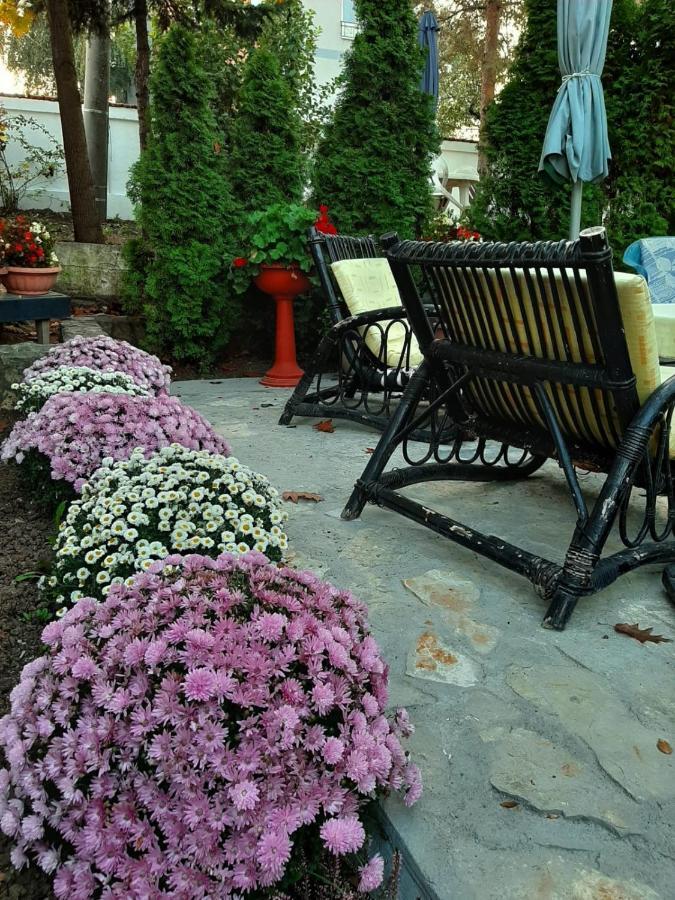 Apartment Queen Belgrado Exterior foto
